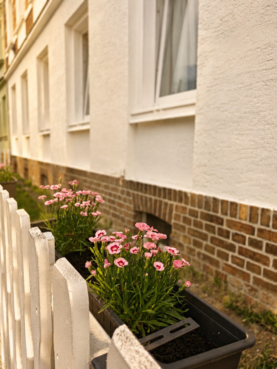Hausfassade mit Blumenkästen in der Abendsonne